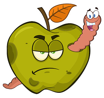 在脾气暴躁的烂青苹果水果卡通吉祥物人物中的快乐蠕虫