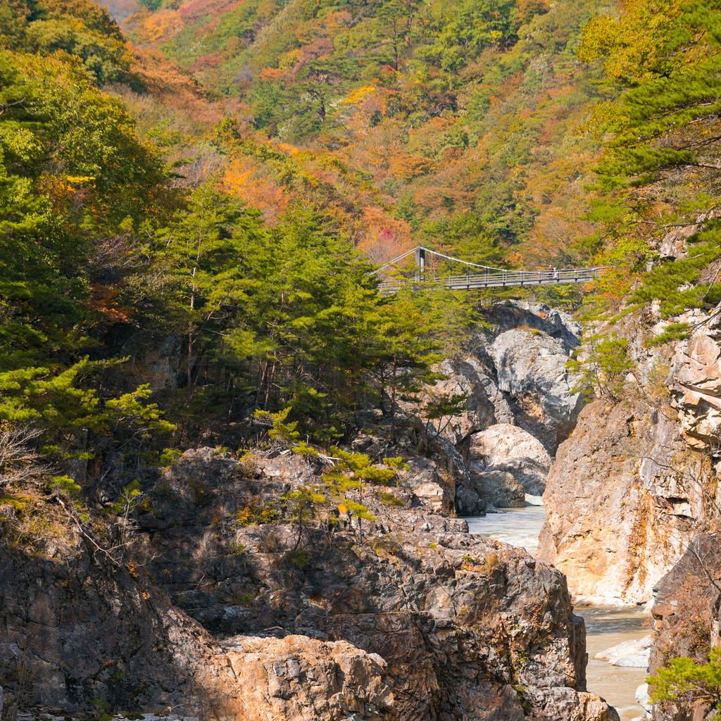 Ryuyo Gorge Ͽȹҹ԰չľձ