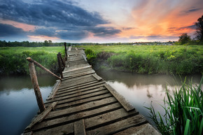 河上的旧木桥。雾，黎明，早晨。自由和冒险的概念。河上的旧木桥