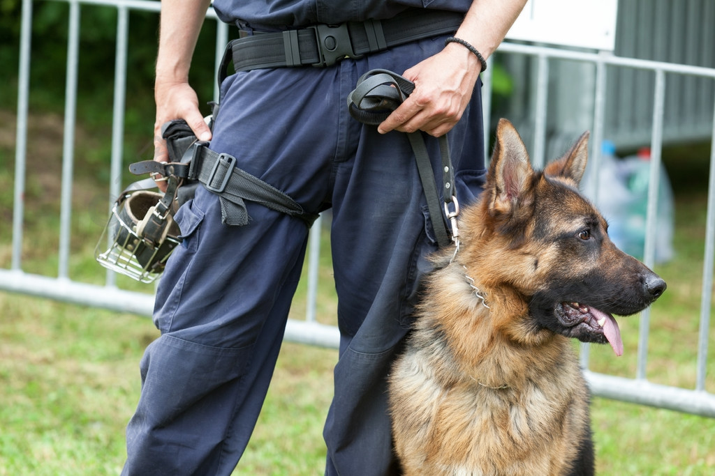 有一条德国牧羊犬警犬的警察