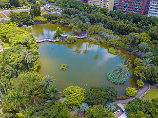 臺北公園花園樹木鳥瞰圖和摩天大樓建築的倒影.