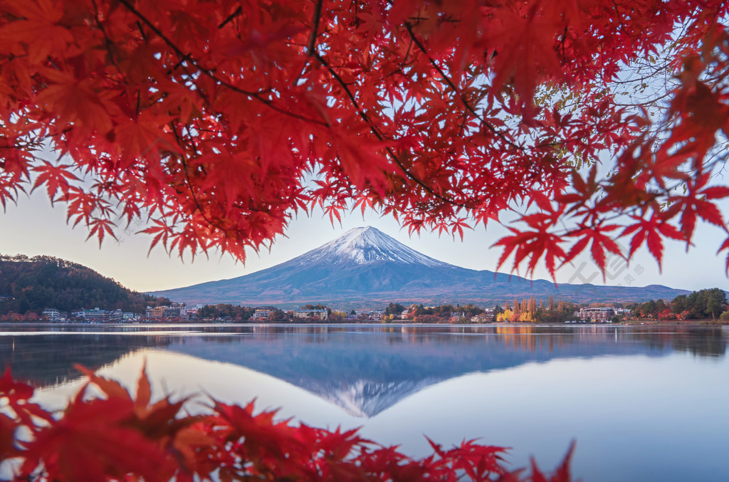 山梨縣富士河口湖附近色彩繽紛的秋季富士山有紅楓葉或秋葉五湖日本的