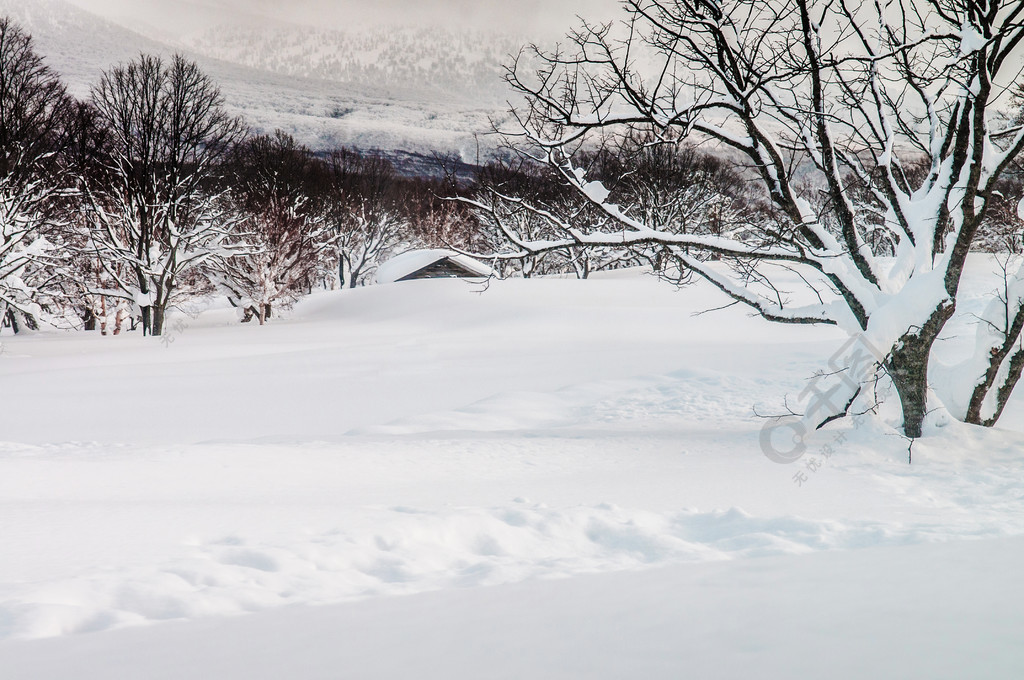 日本青森八甲田山腳下的冬季白雪覆蓋的土地