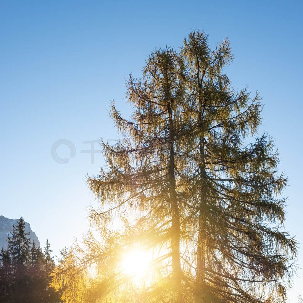 Val di Funes ɼеɫʡŵϵ޶׵٣