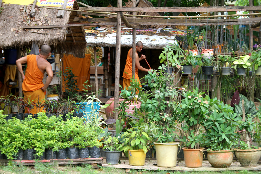 ̩߲ wat Klong Prao չеɮºʻ