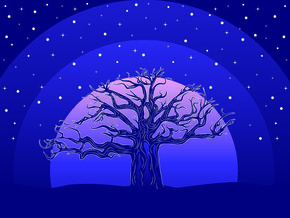 夜晚星空景观背景中大树的程式化剪影