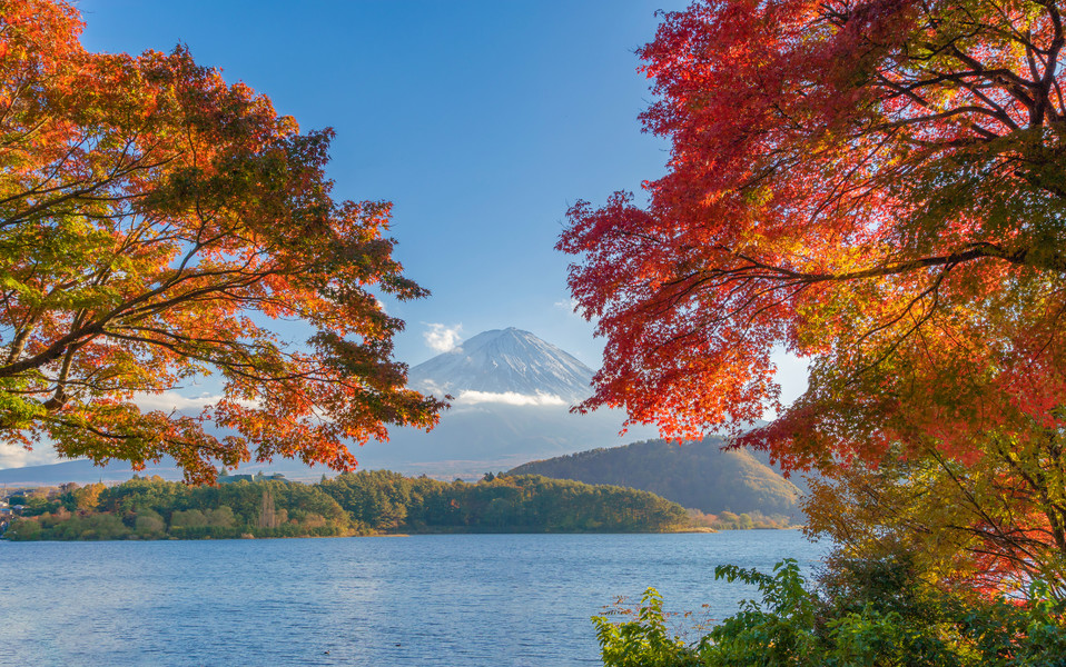 山梨縣富士河口湖附近色彩繽紛的秋季,富士山有 i> i>紅 /i> /i> i> i