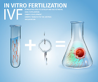 体外受精配方。试管中的男性精子加上准备好的女性卵细胞在蓝色渐变背景的烧杯中同样胚胎。试管婴儿阶段。矢量现实例证。医疗横幅。体外受精配方和阶段横幅