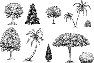 棕榈手绘平面图图片