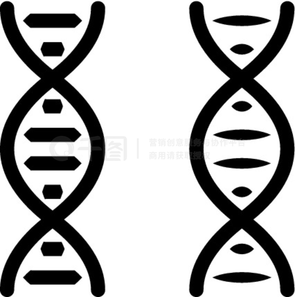  Dna ͼʸͼ