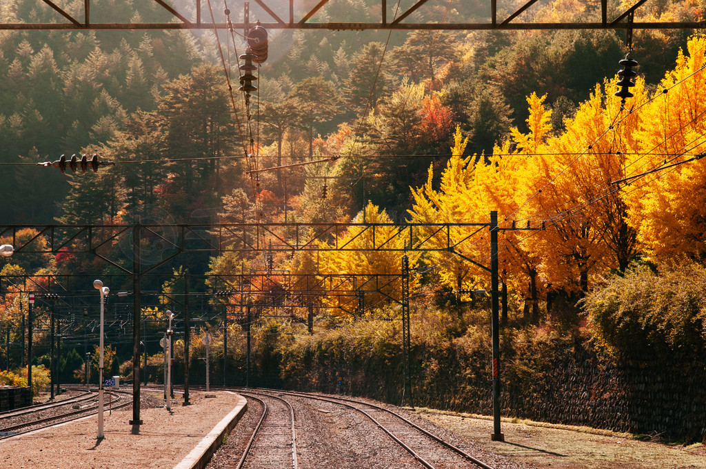 2013  10  24 գ Cheoram - Korail Baekdudaegan ɽϿȻ𳵻 V 𳵣 Seungbu վƽ̨ڰ-·ߵĹ۹г