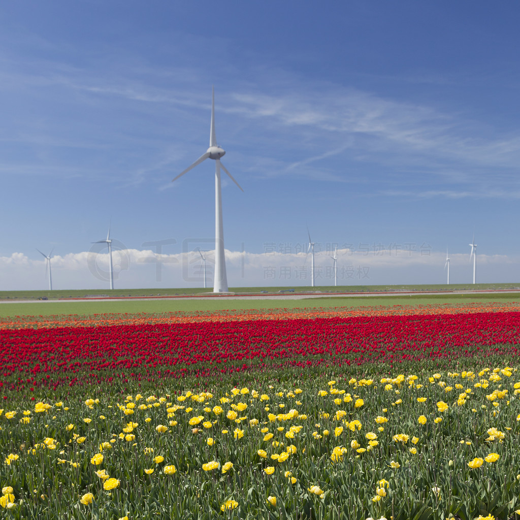  noordoostpolder flevoland ͺķֻ