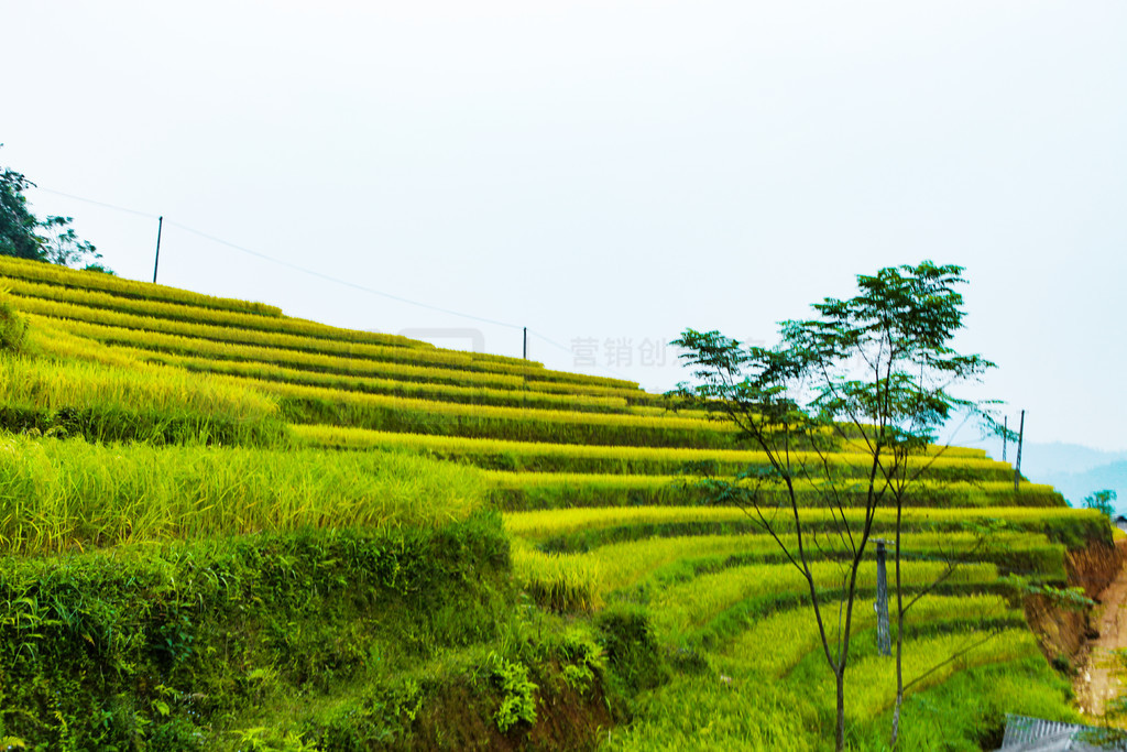 ϵĵ׼ֲˮءӽʡ Huyen Hoang Su Phi  Ban LuocԽϱ