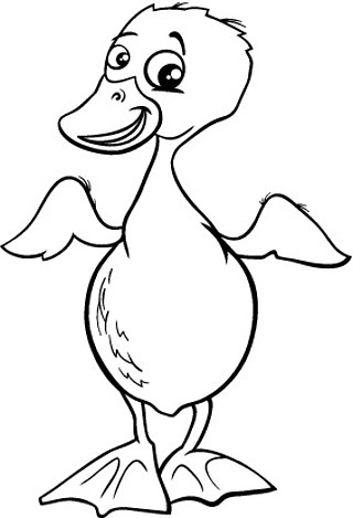 用于着色书的可爱小鸭宝宝鸟动物的黑白卡通插图