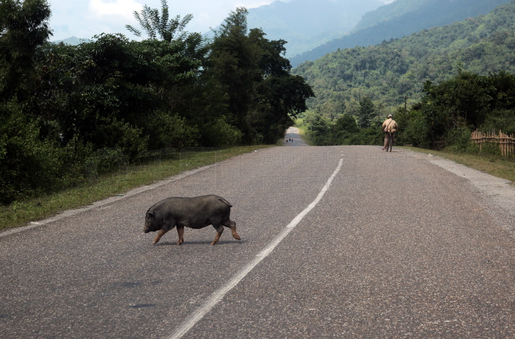 ڴٵŲ;У13 ŹϵĿ帽һ·ϵһ porc.. ASIA LAO VANG VIENG LUANG PRABANG