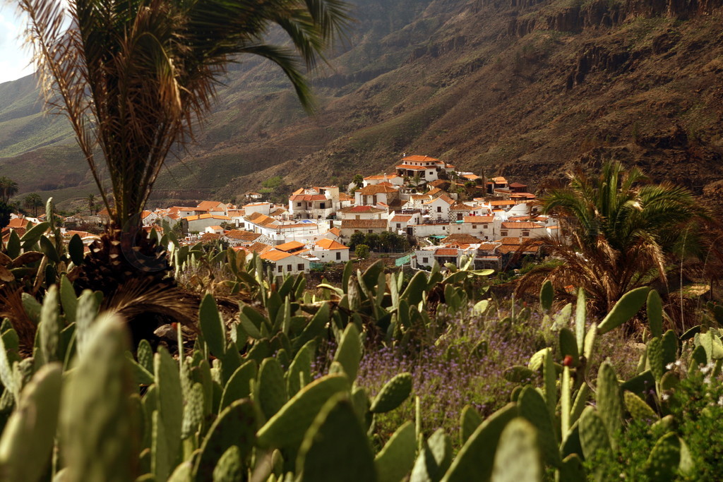 λڴĵķɽ.. EUROPE CANARY ISLAND GRAN CANARY