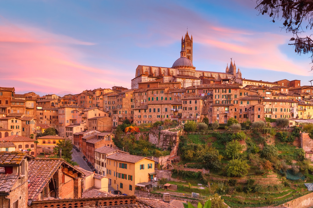 Үɴã˹ɣ˹ɵ׳У͵ҮɴԲ¥Duomo di Siena ͳҮϳǵɫ