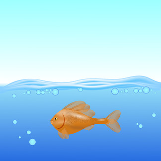 鱼在水中游卡通图片