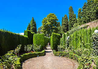 西班牙格<i>拉</i>纳达阿尔罕布<i>拉</i>宫的花园在一个美丽的夏日