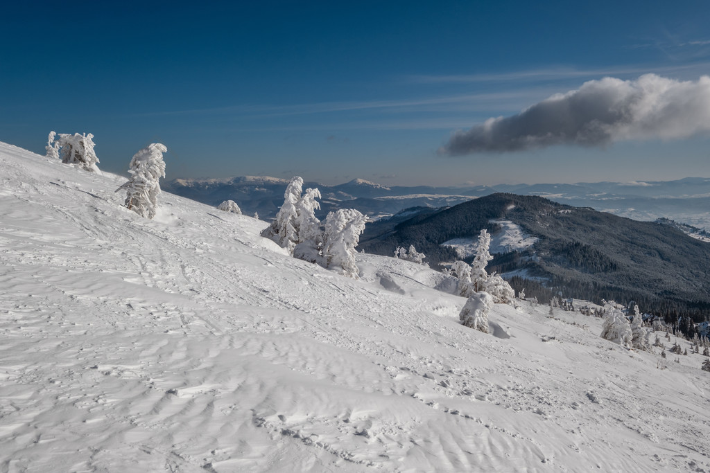 雪山高原上積雪覆蓋的杉樹遠處有雪簷在風景如畫的美麗阿爾卑斯山脊上