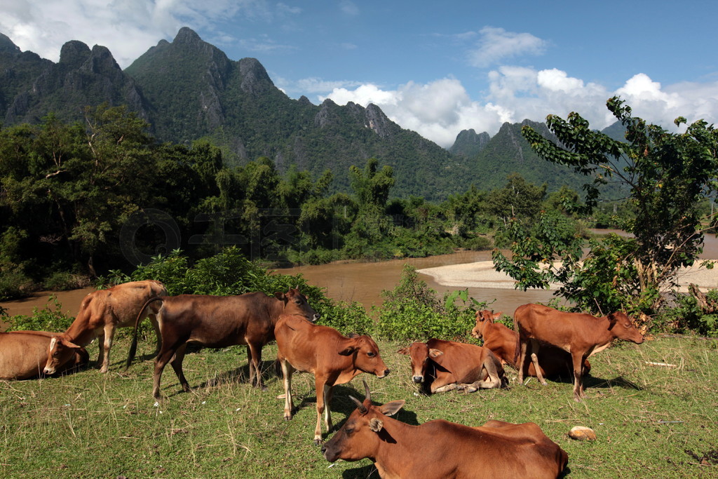 ٵŲ 13 ŹϿ帽ľ.. ASIA LAO VANG VIENG LUANG PRABANG