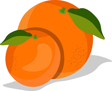 两个橘子简笔画图片