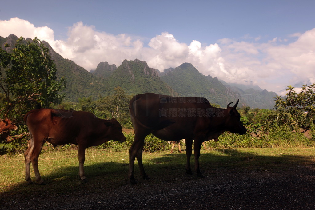 ٵŲ 13 ŹϿ帽ľ.. ASIA LAO VANG VIENG LUANG PRABANG