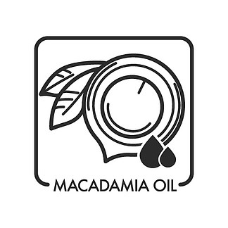 澳洲坚果油特殊成分用于美容和水疗沙龙皮肤保湿矢量单色草图轮廓健康有机产品身体和面部、坚果和叶子植物图标。用于美容和水疗的澳洲坚果油特殊成分