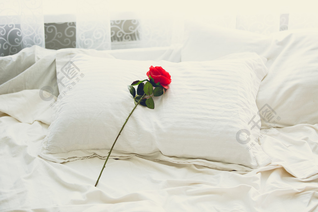早上躺在床上的红玫瑰的色调照片