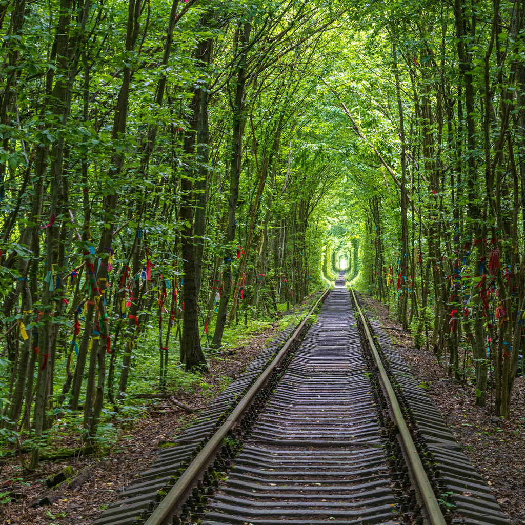 爱情隧道 乌克兰图片