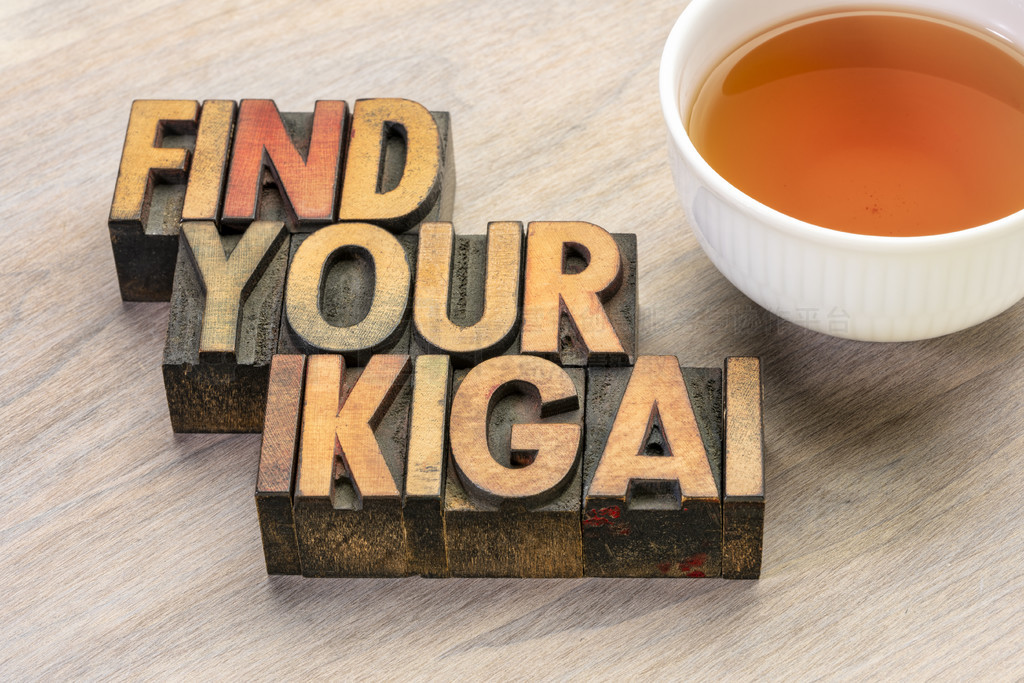 һʽľҵ ikigai ժҪ  ձ˴ڵɵĸ