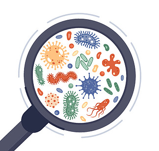 研究微生物和疾病细胞放大镜中的细菌