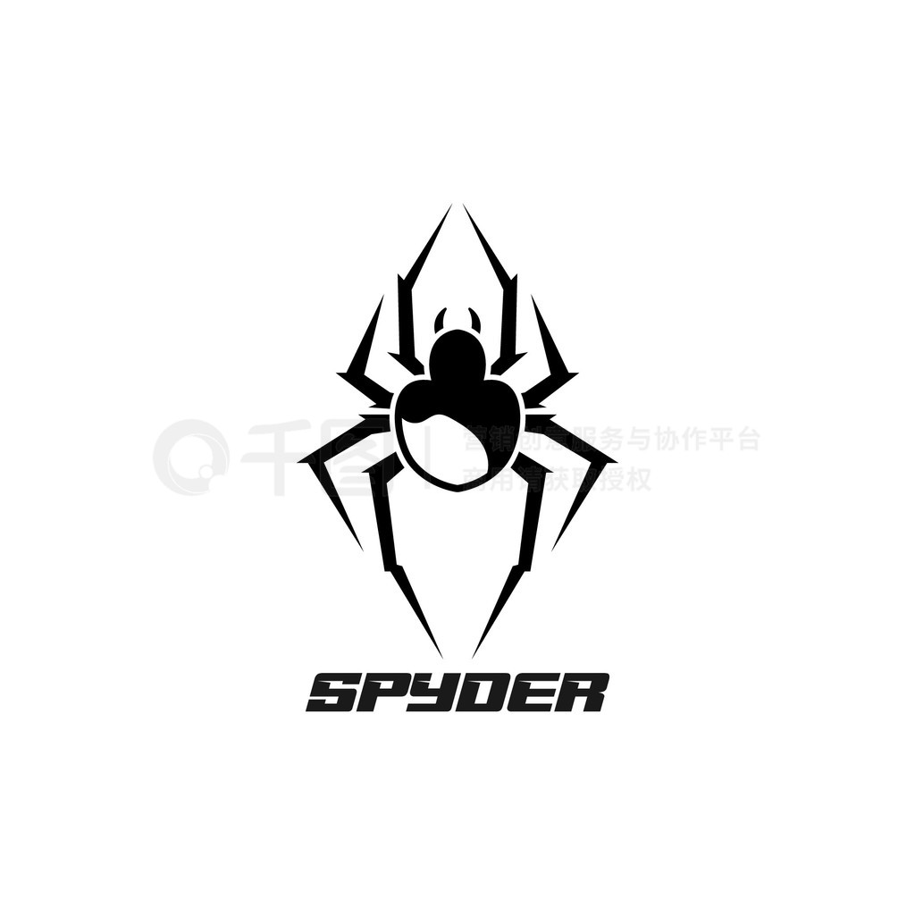 ɫ֩ͼСSPYDER