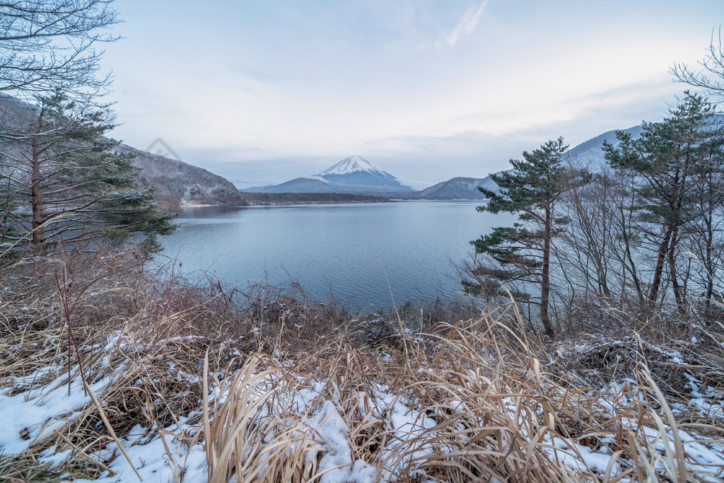 西湖富士五湖日本山梨縣富士河口湖附近冬季有雪的富士山自然景觀背景