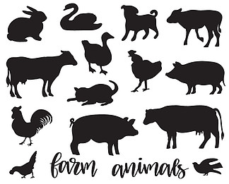 农场动物矢量集。牲畜..农场动物矢量集。白色背景上的黑色剪影。山羊，<i>牛</i>，猪，野猪，鹅，鸭，公鸡，鸡，鸽子，猫，狗，天鹅，公<i>牛</i>，<i>小</i><i>牛</i>
