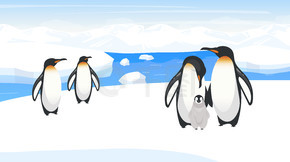南极野生动物平面矢量图。帝企鹅在雪山上繁殖。自然栖息地的极地鸟类种群。雪原。冰岛环境。动物卡通人物