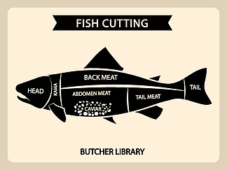 鱼肉切割矢量复古图，切割指南图。图表切割鱼、尾巴和头<i>部</i>、背<i>部</i>和<i>腹</i><i>部</i>的插图。鱼肉切割矢量复古图，切割指南图