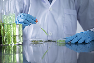 科学家在化学实验室测<i>试</i>天然产物提取物、油和生物燃料溶液