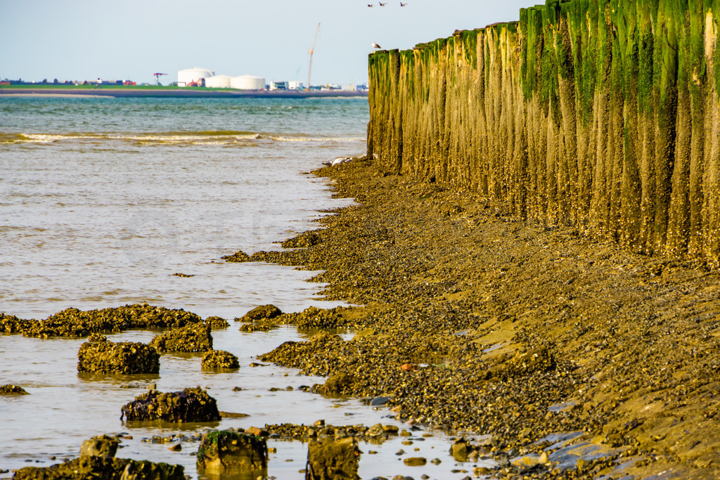 Breskens ̲⣬ͺ Zeeland  Vlissingen ҵ