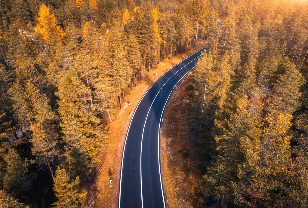 林地的高速公路的多彩景觀旅行日落時美麗的秋季森林中的道路鳥瞰圖