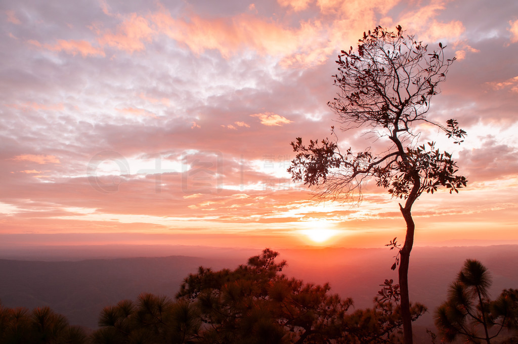 Phu Kradueng  Pha Lom SakĽɫϦգƶɢ䣬Ӱ踮 - ̩