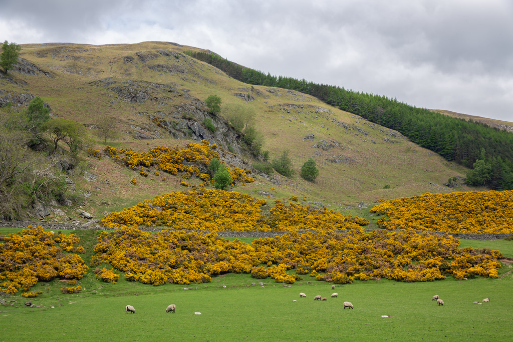 λ Loch Tay  Ben Lawers ոߵأлɫȸľλ Loch Tay  Ben Lawers ոߵأнȸľ