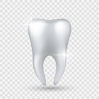 闪亮的牙齿。在透明背景下隔离的逼真健康清晰的白牙、牙科诊所的牙釉质美白、牙医卫生师或正畸治疗口腔护理保护矢量 3d 对<i>象</i>。闪亮的牙齿。在透明背景下隔离的真实健康清晰的白牙、牙科诊所的牙釉质美白、牙医卫