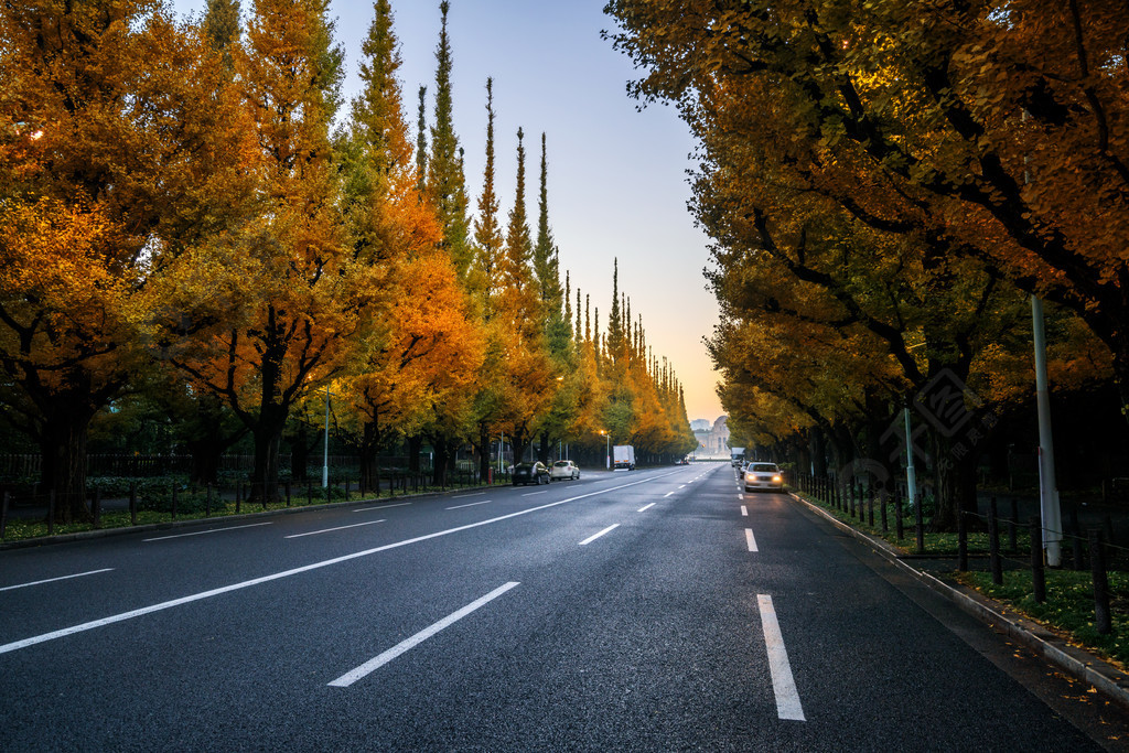 好看的道路背景图图片