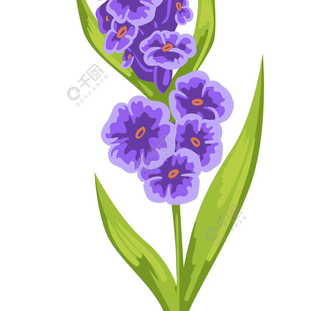 盛开的装饰花卉与紫色嫩花瓣和绿茎叶孤立的丁香植物学女性礼物或节日