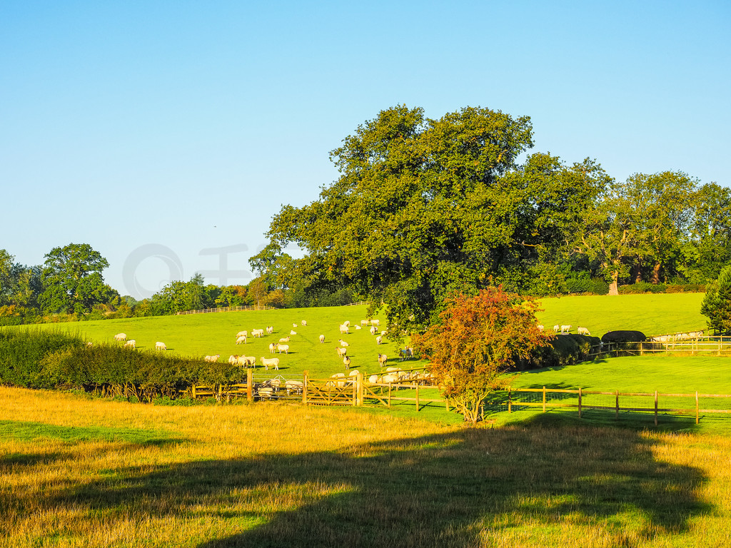 Ŷ HDR е Tanworth ͼӢ˿ Arden  Tanworth ĸ߶̬Χ HDR Ӣ