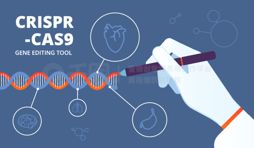 ĸ Cas9 dna ͻ򹤳＼ҽѧ屳 dna ＼Ĳͼcrispr-cas9ĸ Cas9 dna ͻ򹤳＼ҽѧ