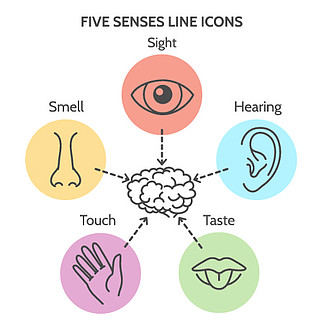 五种感官线图标。人耳和眼睛符号、鼻<i>子</i>和嘴巴轮廓矢量符号