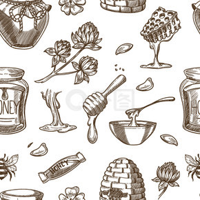 蜂蜜养蜂素描图案背景。矢量无缝蜂蜜罐和蜜蜂蜂巢在蜂窝、北斗勺和三叶草花中。蜂蜜养蜂业矢量素描图案背景