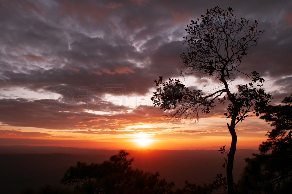 Phu Kradueng  Pha Lom SakĽɫϦգƶɢ䣬Ӱ踮 - ̩